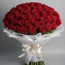 Букет 101 Красная роза Блэк Мэджик в Мухоршибири