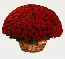 Премиум букет из: Розы в Мухоршибири