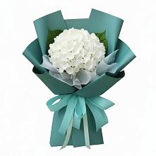 Букет цветов из:  Гортензия #REPLACE_PRED# Мухоршибири